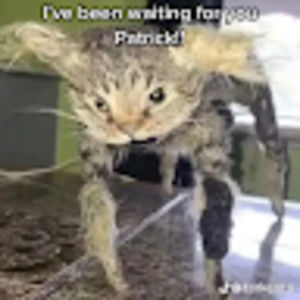 Meet your Posher, Ezarah